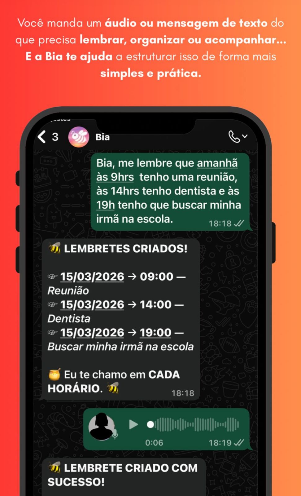 Exemplo real de conversa no WhatsApp